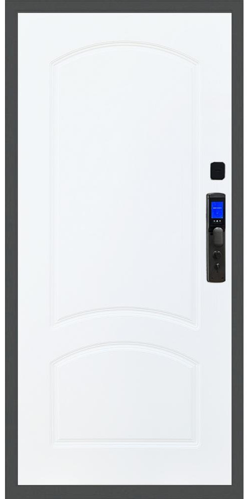 Входная дверь Баяр M2055 Face ID ФЛ-126, цвет Входная дверь Баяр M2055 Face ID ФЛ-126, цвет