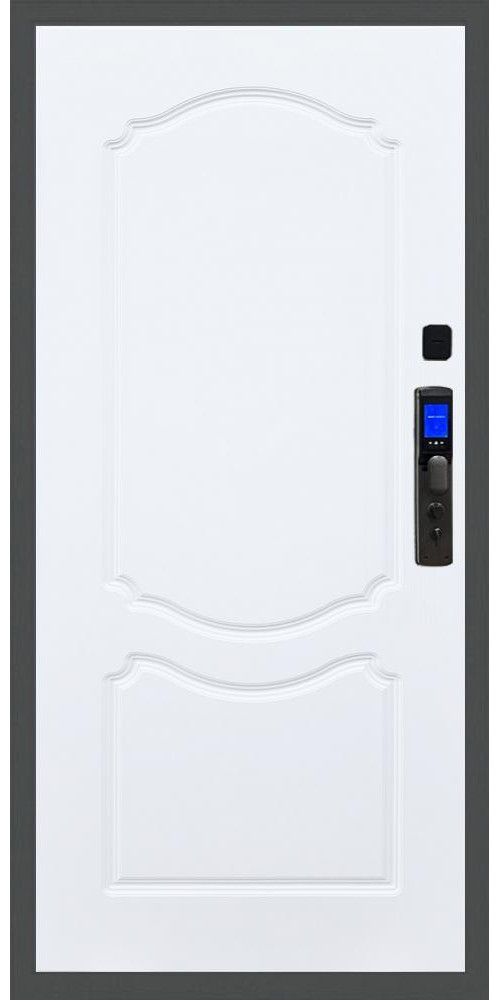 Входная дверь Баяр M2055 Face ID ФЛ-130, цвет 