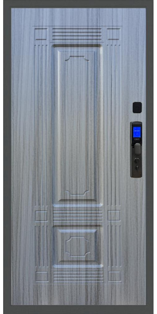 Входная дверь Баяр M2055 Face ID ФЛ-2 в цвете 