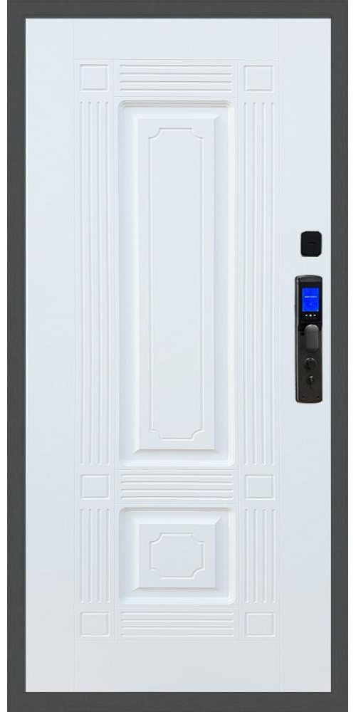 Входная дверь Баяр M2055 Face ID ФЛ-2, цвет 