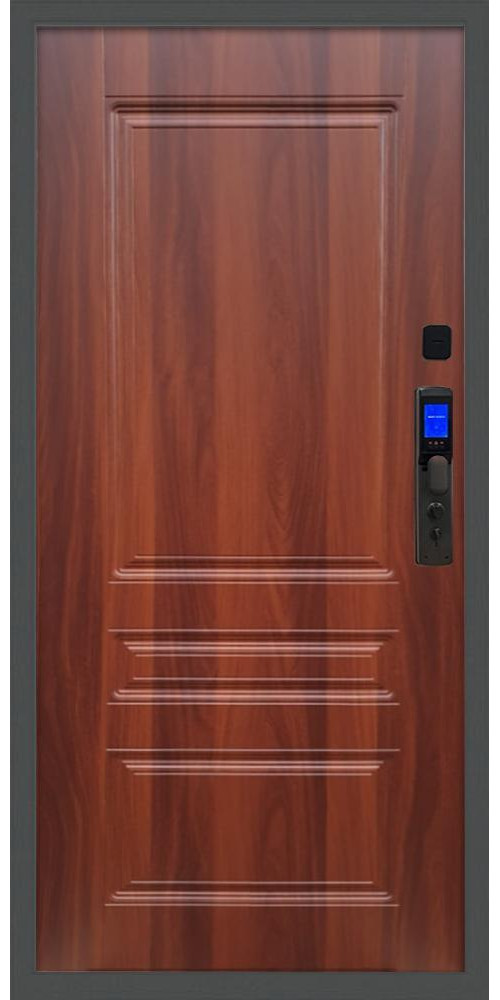 Входная дверь Баяр M2055 Face ID ФЛ-243 в цвете 