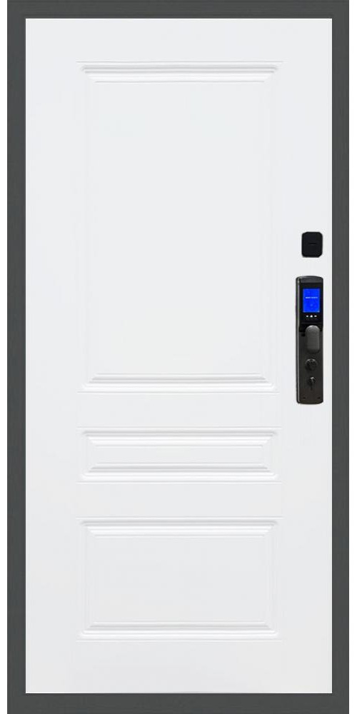 Входная дверь Баяр M2055 с Face ID в цвете 