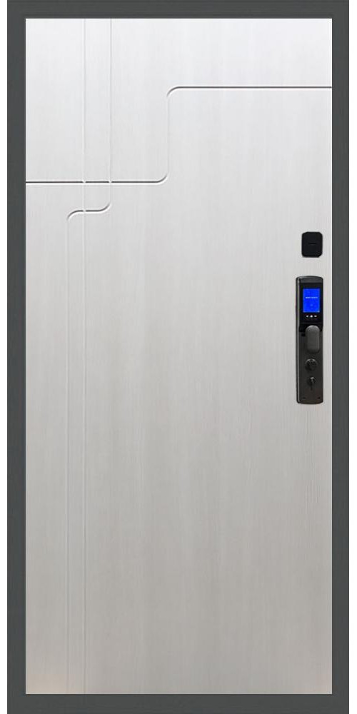 Входная дверь Баяр M2055 Face ID ФЛ-246 в цвете 