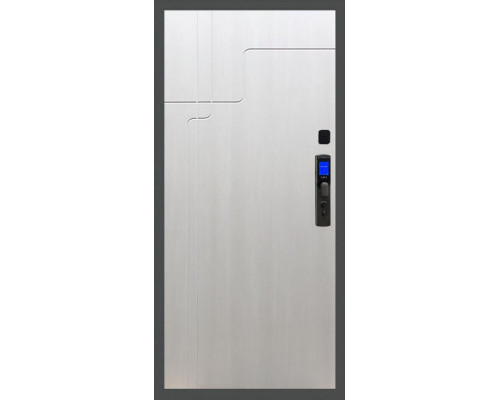 Входная дверь Баяр M2055 Face ID ФЛ-246 в цвете 