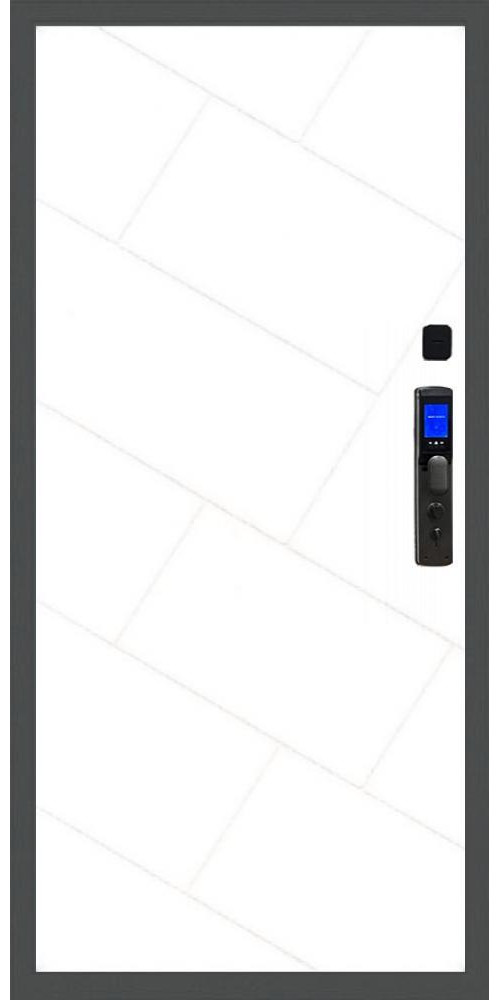 Входная дверь Баяр M2055 Face ID ФЛ-292 