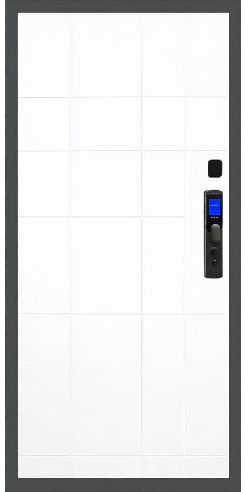 Входная дверь Баяр M2055 Face ID ФЛ-299 в цвете 