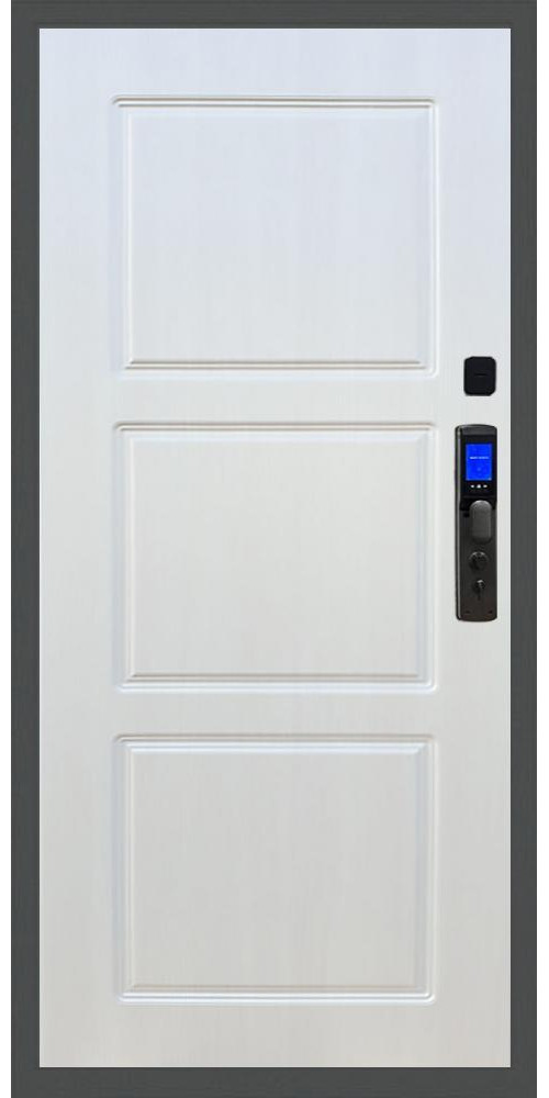 Входная дверь Баяр M2055 Face ID ФЛ-3 в цвете 