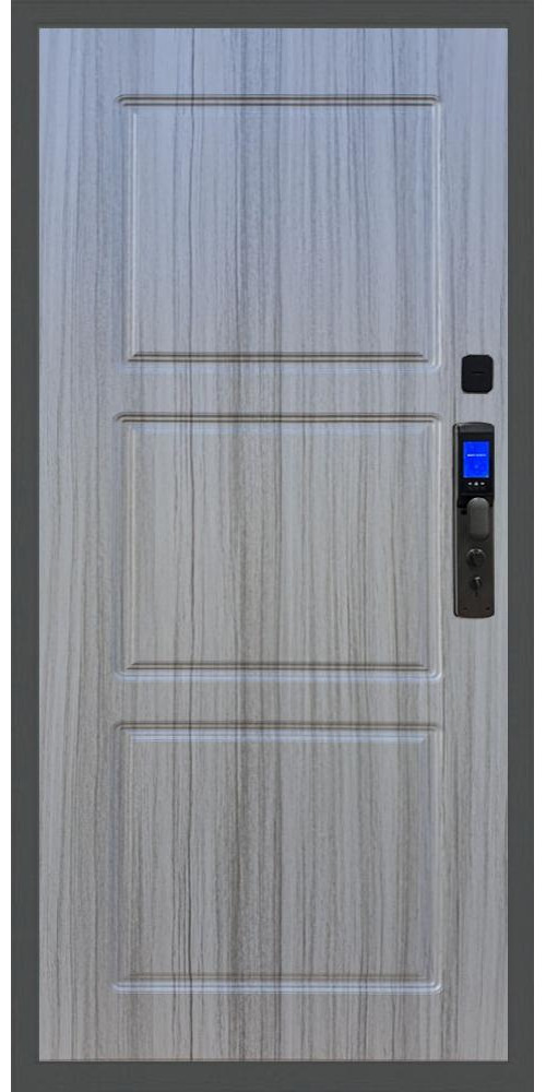 Входная дверь Баяр M2055 Face ID ФЛ-3 в цвете 