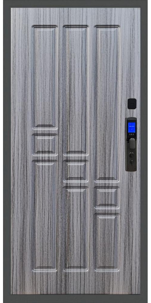 Входная дверь Баяр M2055 Face ID ФЛ-31 в цвете 