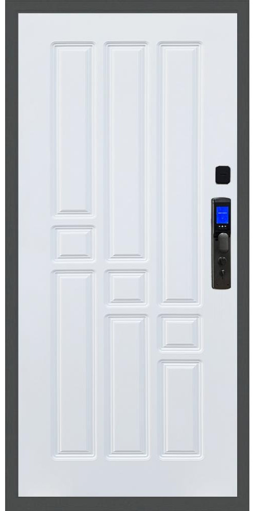 Входная дверь Баяр M2055 Face ID ФЛ-31 в цвете 
