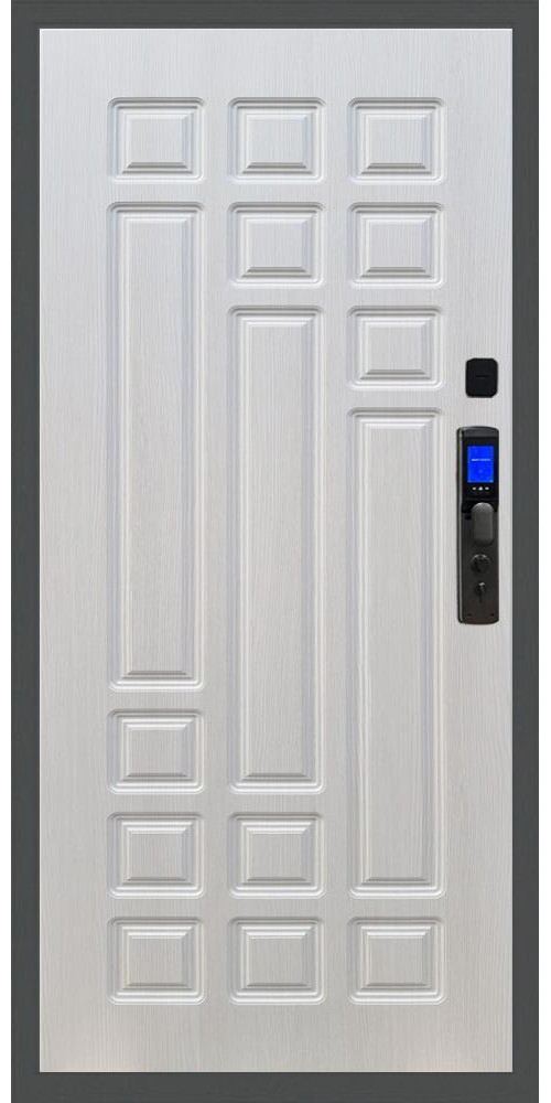 Входная дверь Баяр M2055 Face ID ФЛ-32 в цвете 