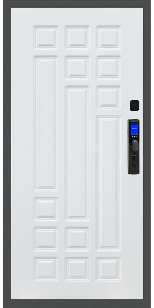 Входная дверь Баяр M2055 Face ID ФЛ-32 в цвете 