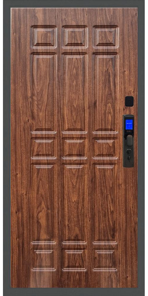 Входная дверь Баяр M2055 Face ID ФЛ-33 в цвете 