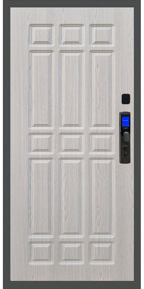 Входная дверь Баяр M2055 Face ID ФЛ-33 в цвете 