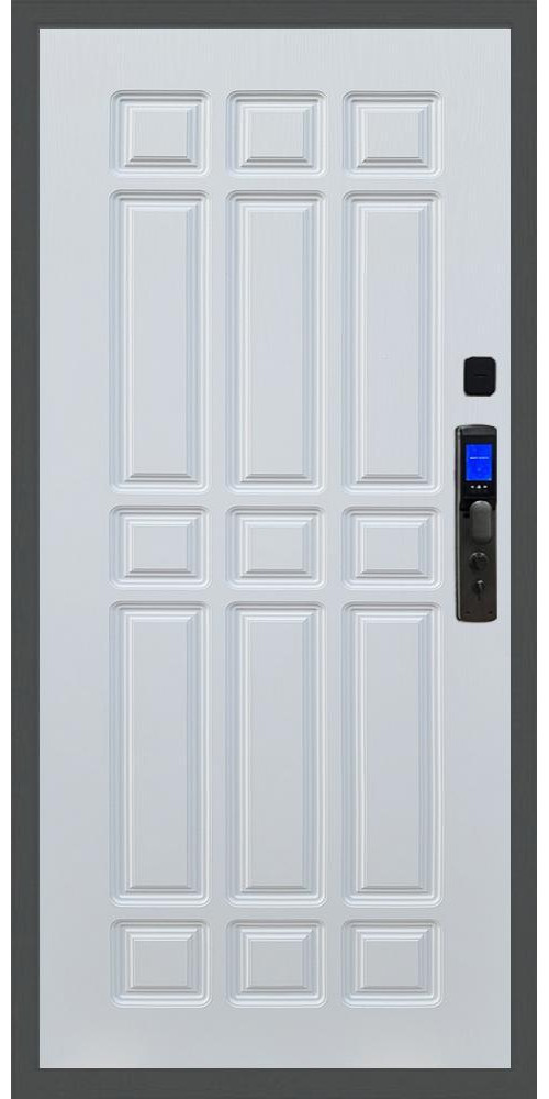 Входная дверь Баяр M2055 Face ID ФЛ-33 в цвете 