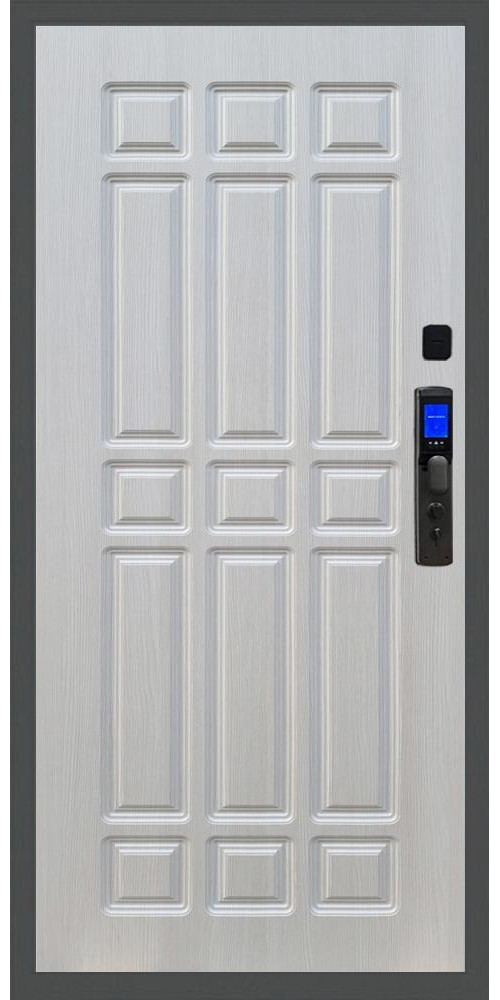 Входная дверь Баяр M2055 Face ID ФЛ-33 в цвете 
