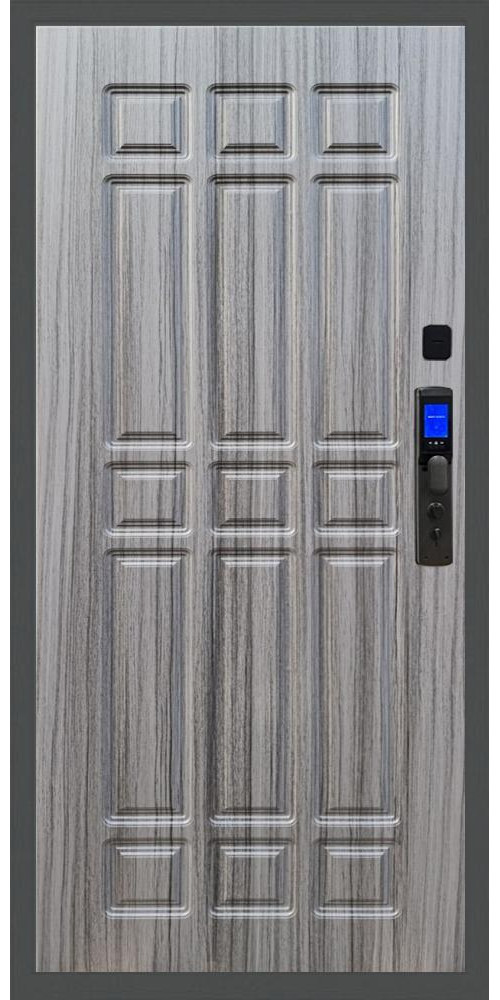 Входная дверь Баяр M2055 Face ID ФЛ-33 в цвете 