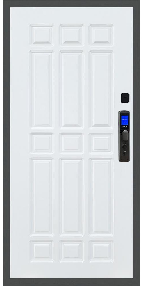 Входная дверь Баяр M2055 Face ID ФЛ-33 в цвете 
