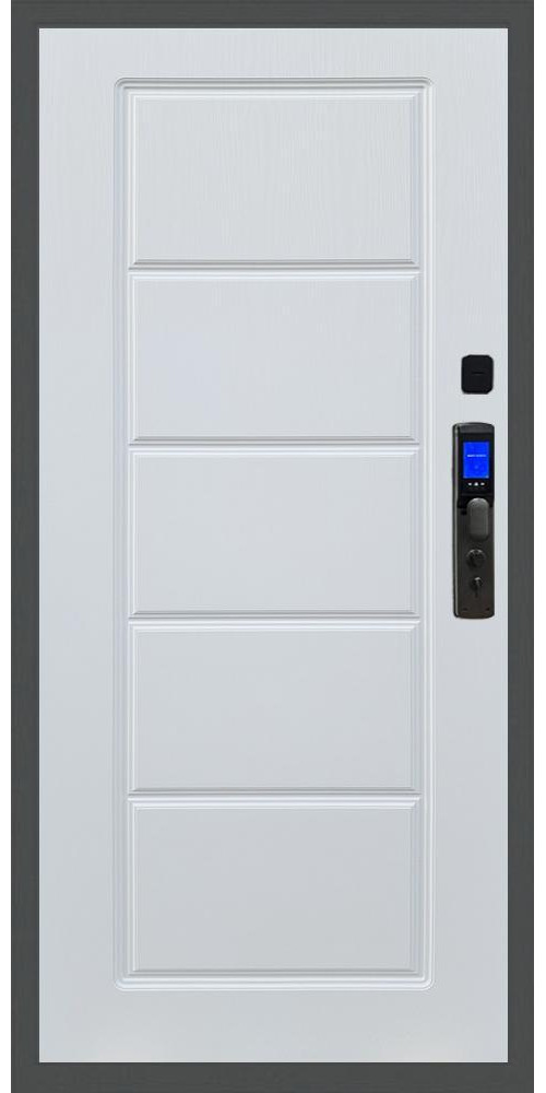 Входная дверь Баяр M2055 Face ID ФЛ-39 в цвете 