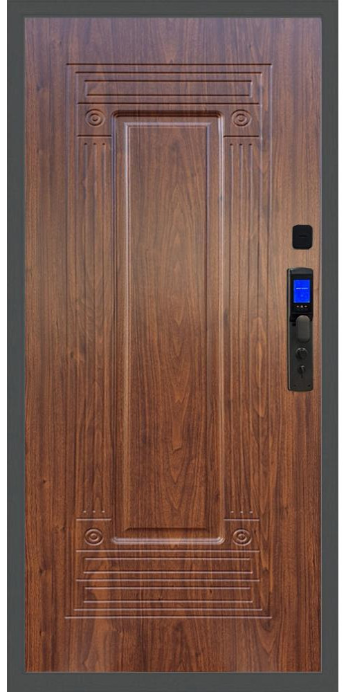 Входная дверь Баяр M2055 Face ID ФЛ-4 в цвете 
