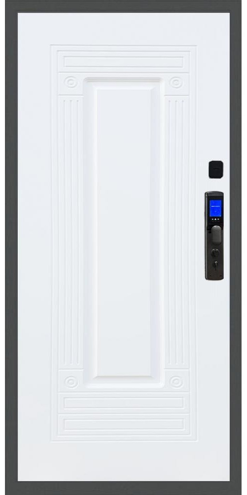 Входная дверь Баяр M2055 Face ID ФЛ-4 в цвете 
