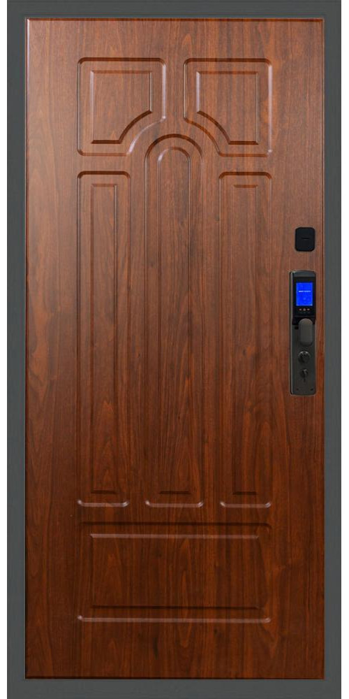 Входная дверь Баяр M2055 Face ID ФЛ-58 в цвете береза мореная
