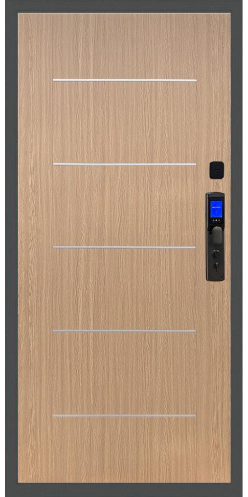 Входная дверь Баяр M2055 Face ID B-03 с молдингом, цвет венге светлый
Входная дверь Баяр M2055 Face ID B-03 с молдингом, цвет венге светлый
